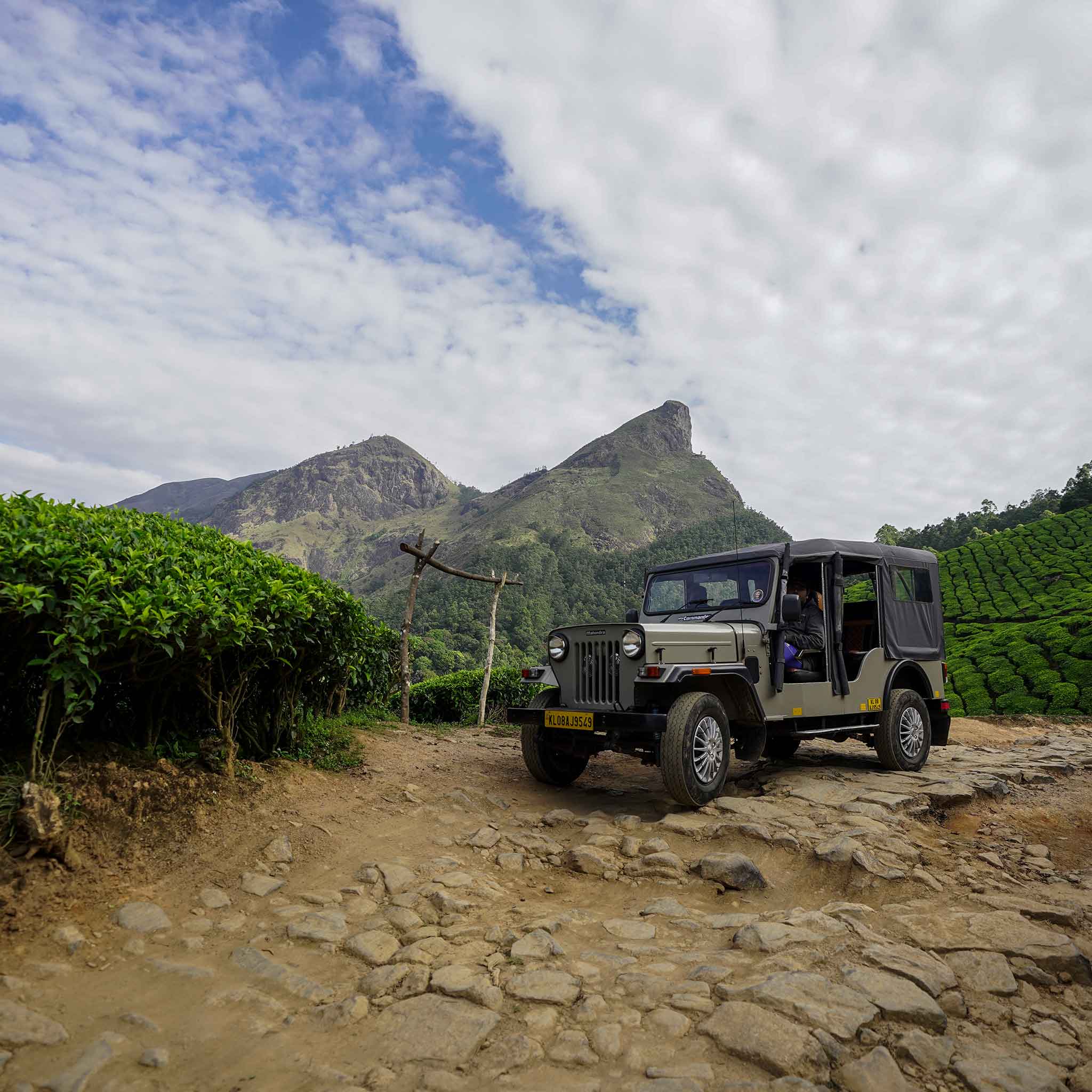 Jeep Safari in Munnar, Trekking in Munnar